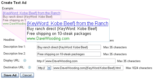adwords keyword insertion