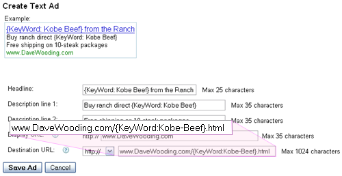 adwords dynamic keyword insertion