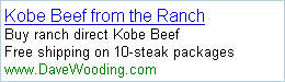 google adwords dynamic keyword insertion