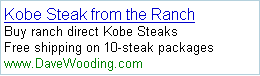 adwords dynamic keyword insertion